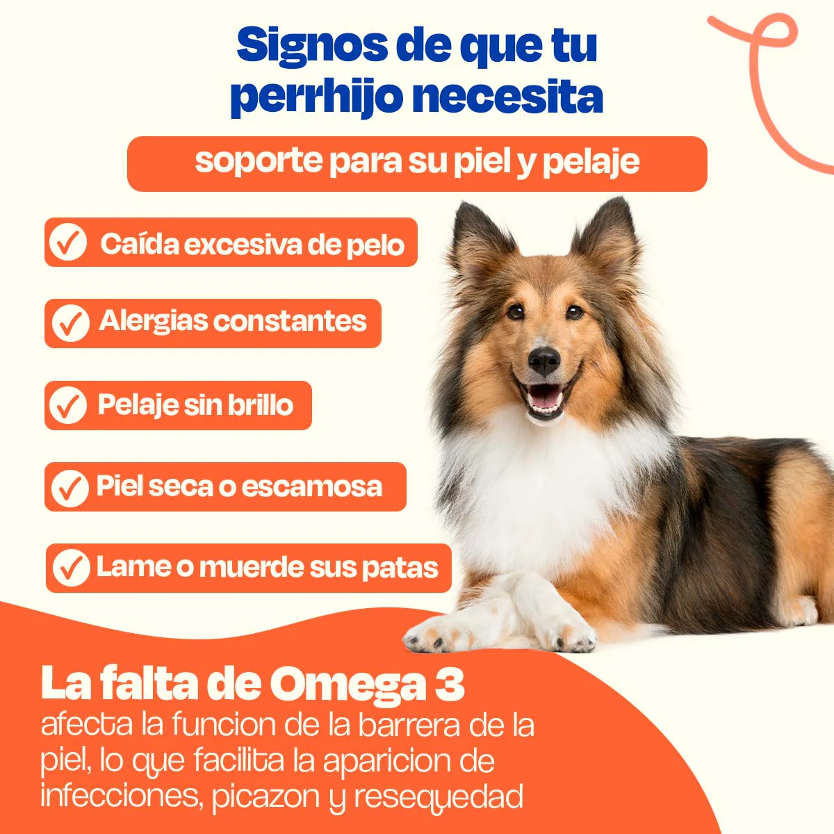 Aceite de Salmón para Perros - Pure Salmon Oil - Image 14