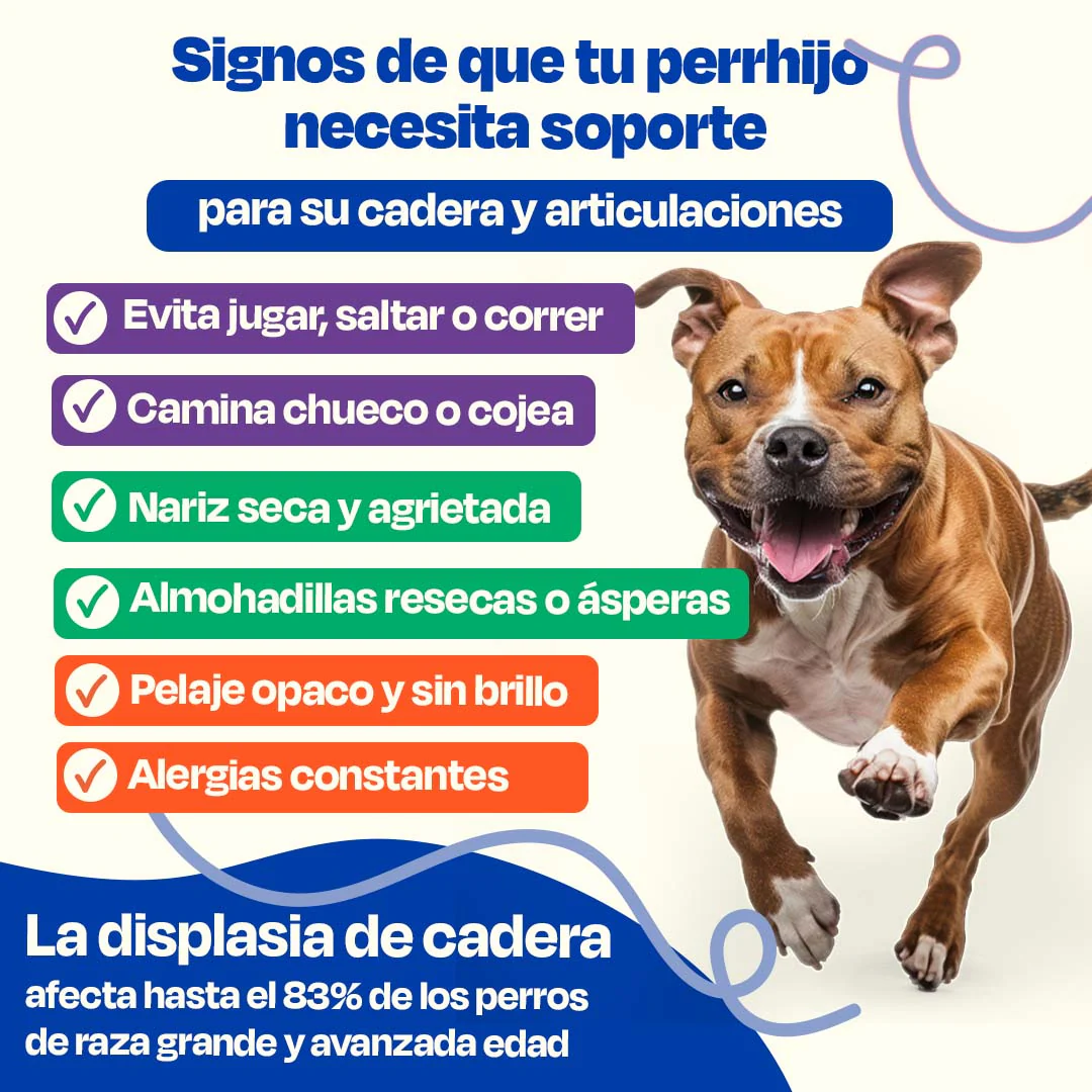 Kit para Articulaciones para Perros - Active Pup Kit - Image 3