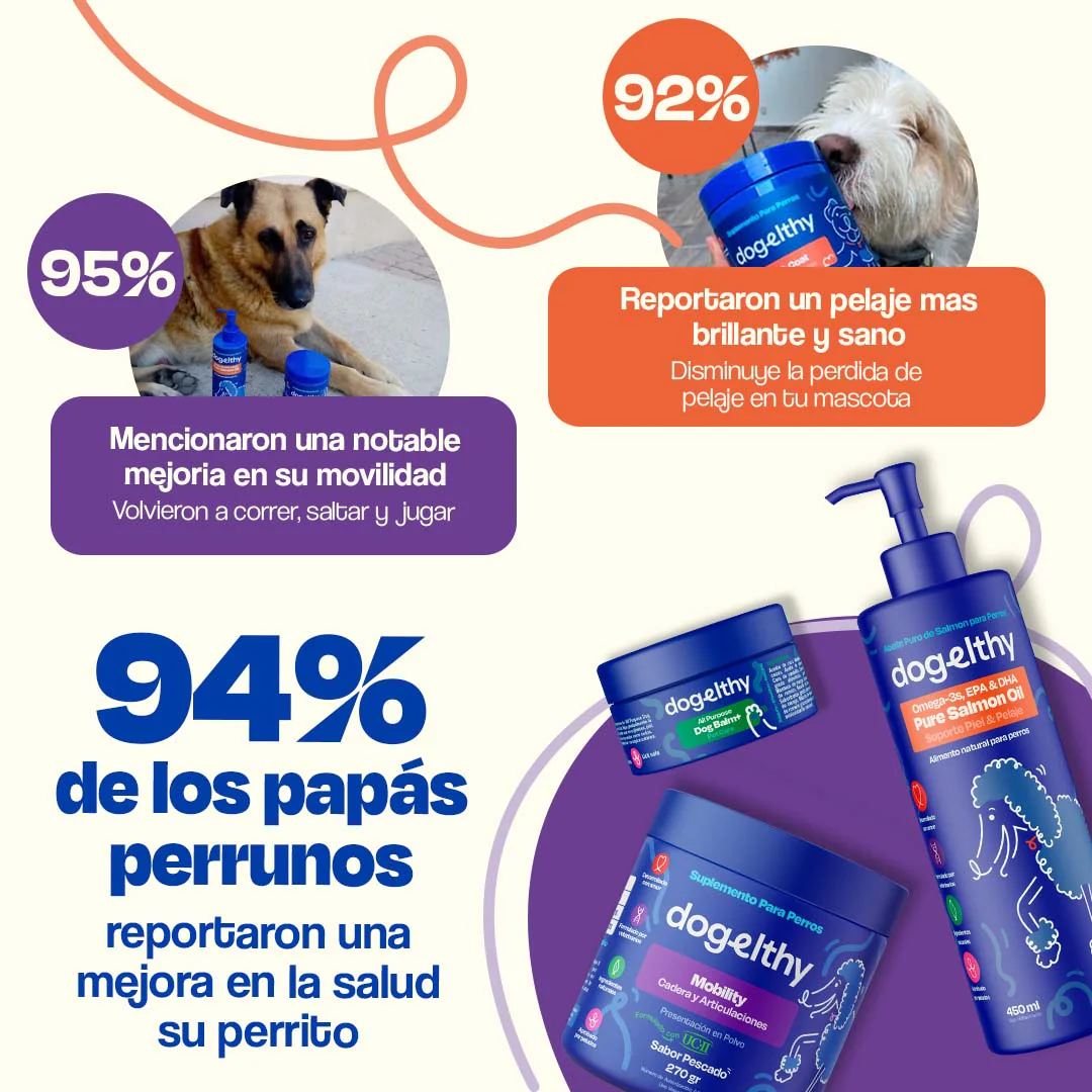 Kit para Articulaciones para Perros - Active Pup Kit - Image 5