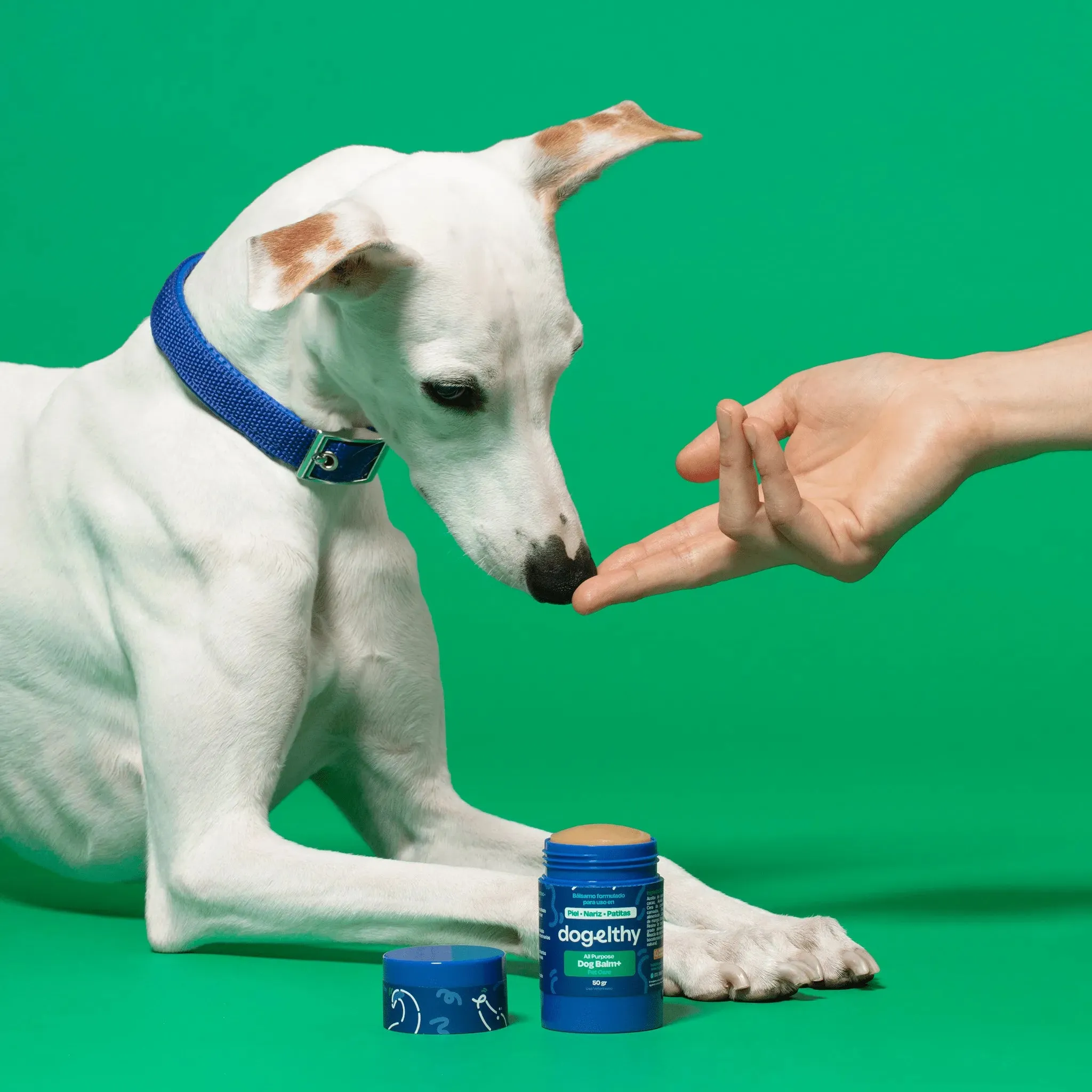 Bálsamo para Patas de Perro - Dog Balm - Image 10