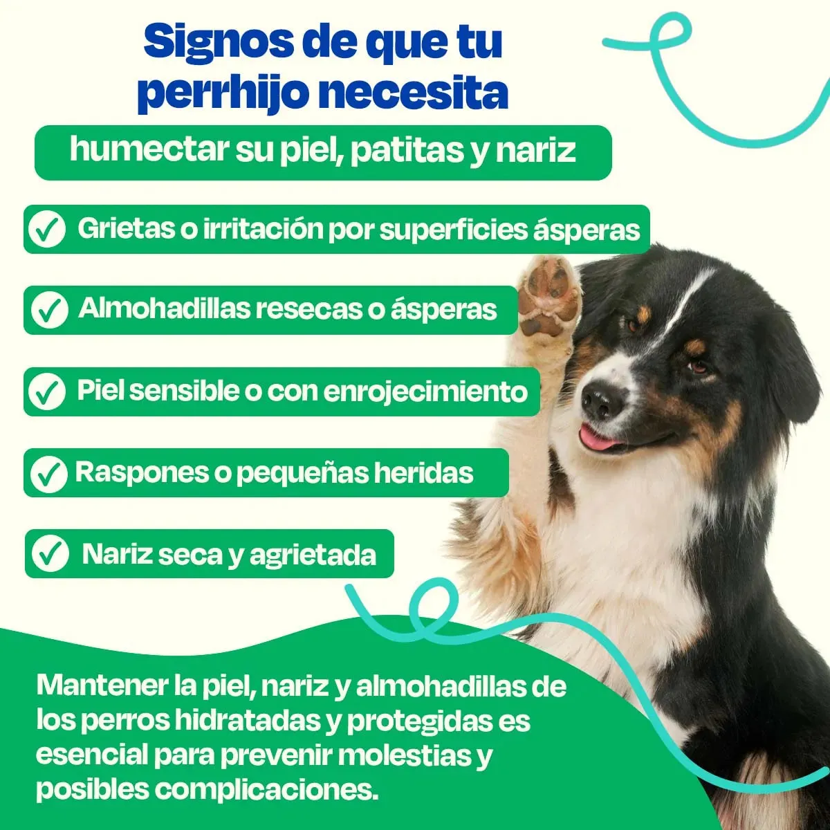 Bálsamo para Patas de Perro - Dog Balm - Image 3