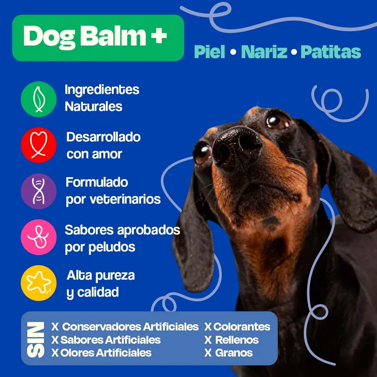Bálsamo para Patas de Perro - Dog Balm - Image 9
