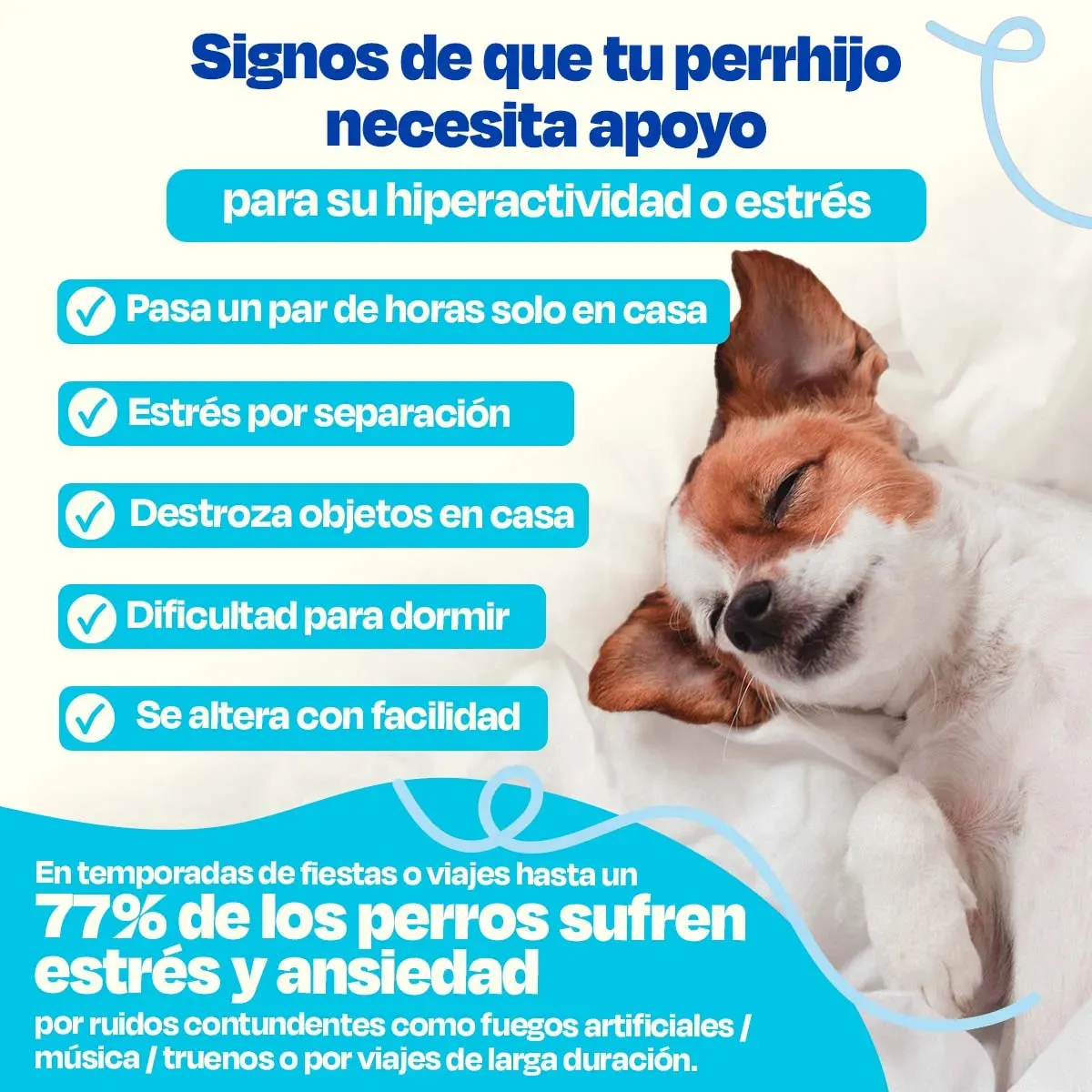 Suplemento Calmante para Perros - Calming Powder - Image 3