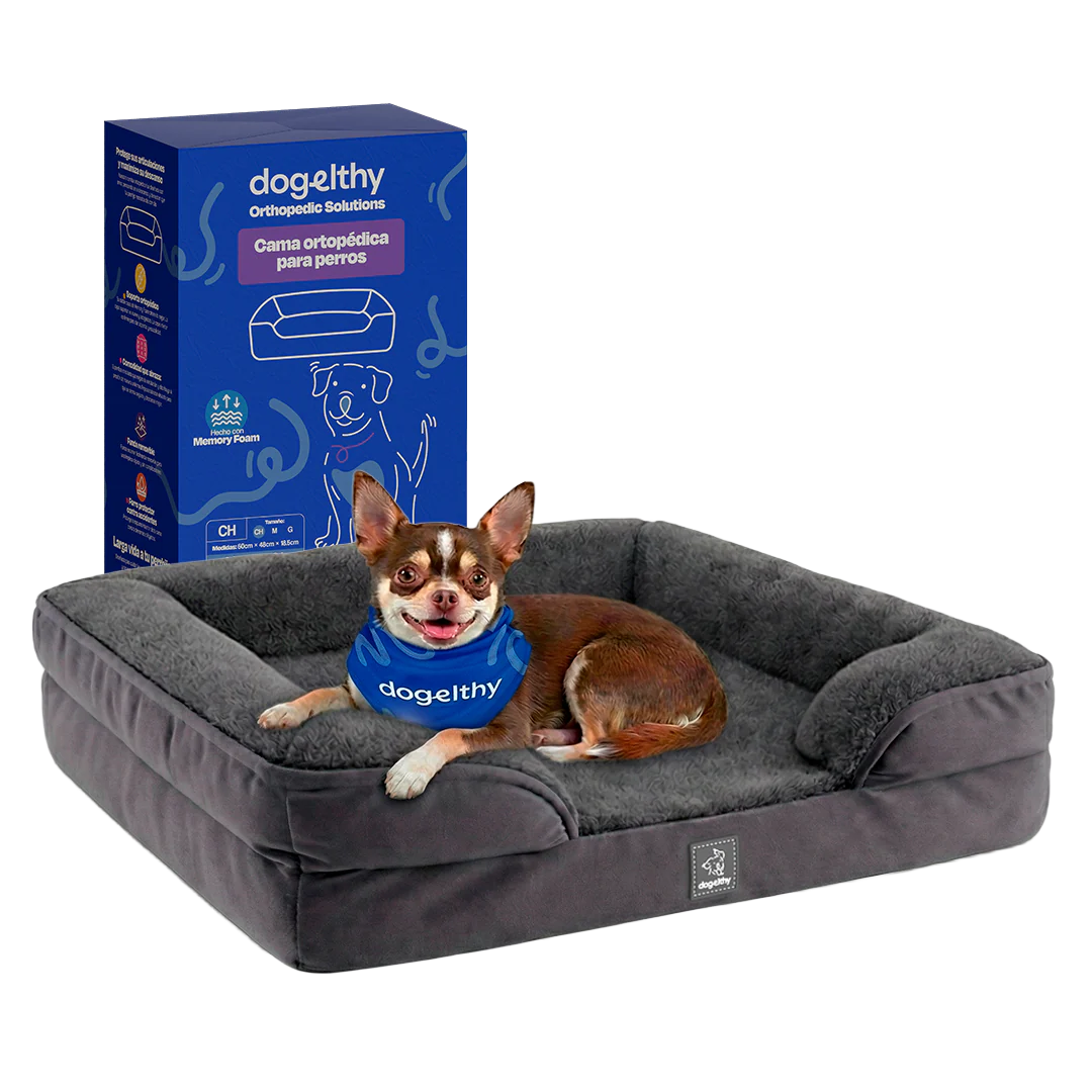 Nuevos suplementos y accesorios para perros