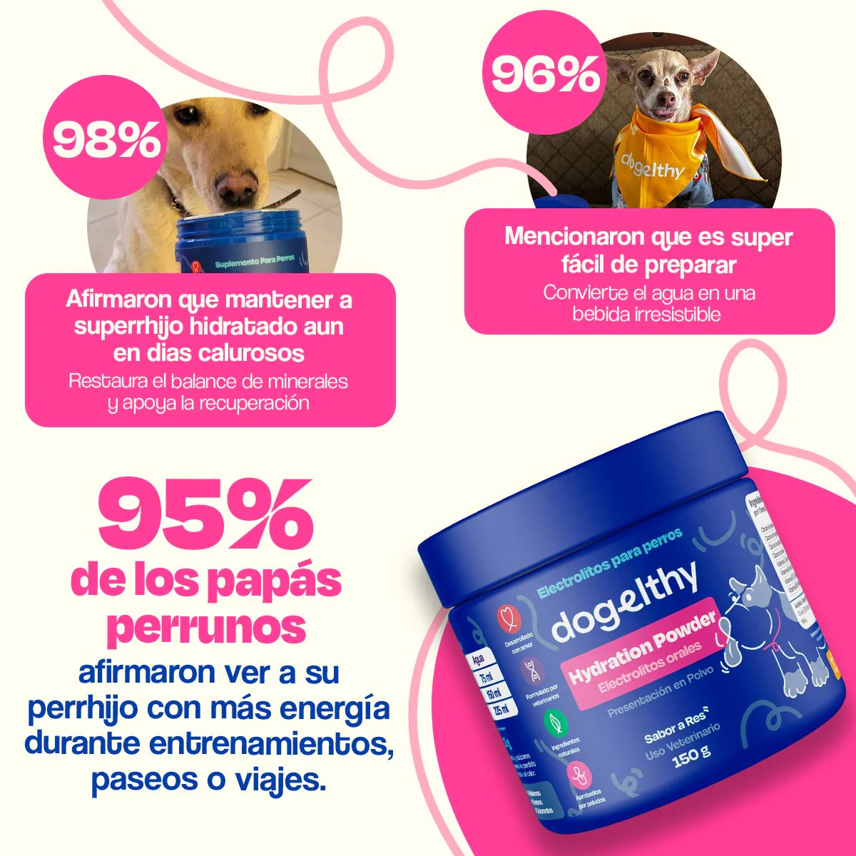 Electrolitos para Perros (Rinde 4.5 Lts) - Hydration Powder - Image 4