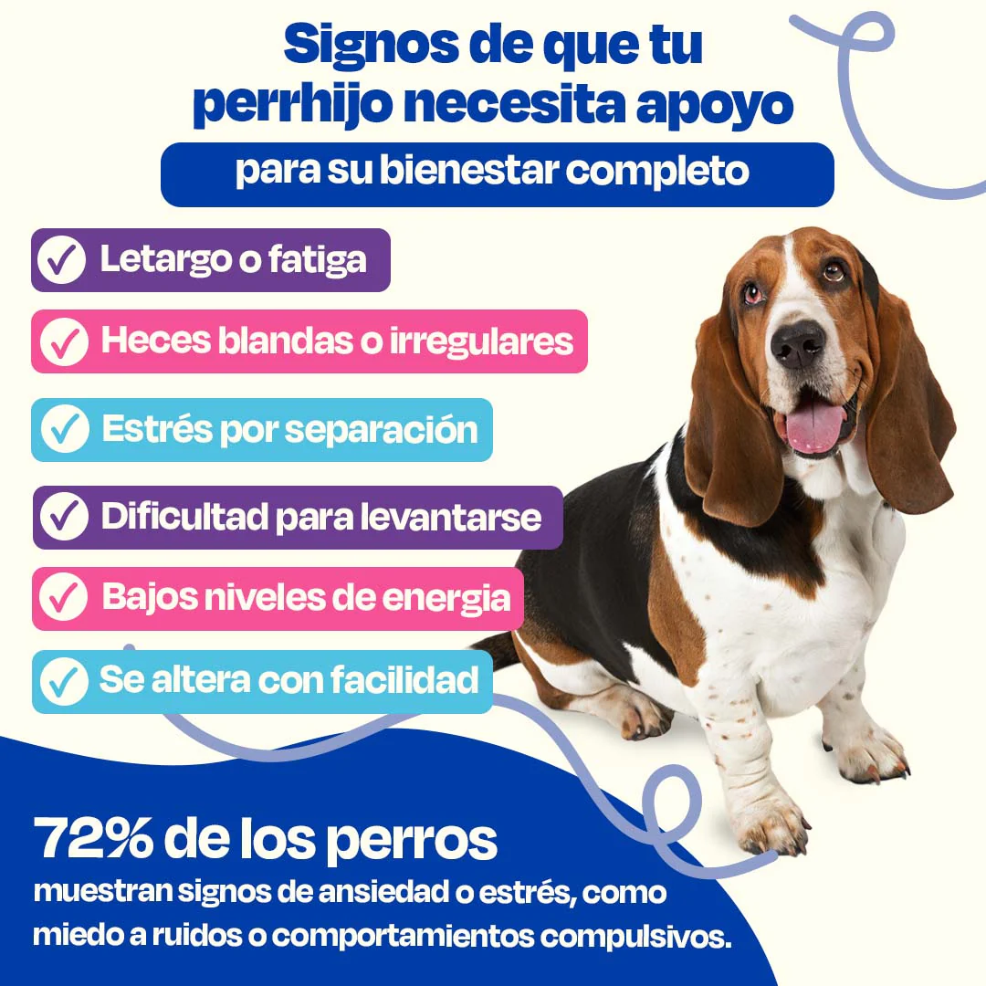 Kit Balance para Perro - Balance Kit - Image 10