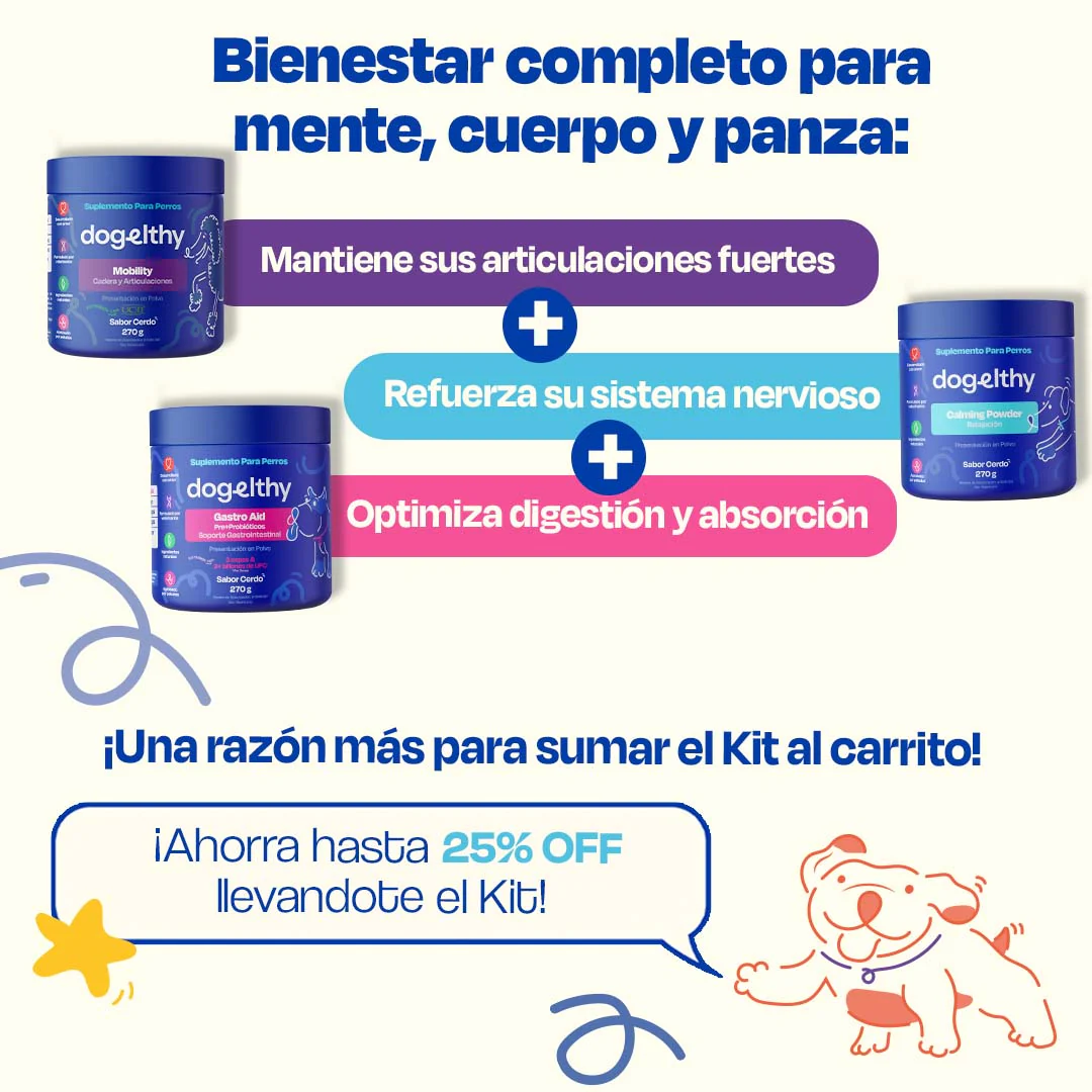 Kit Balance para Perro - Balance Kit - Image 14