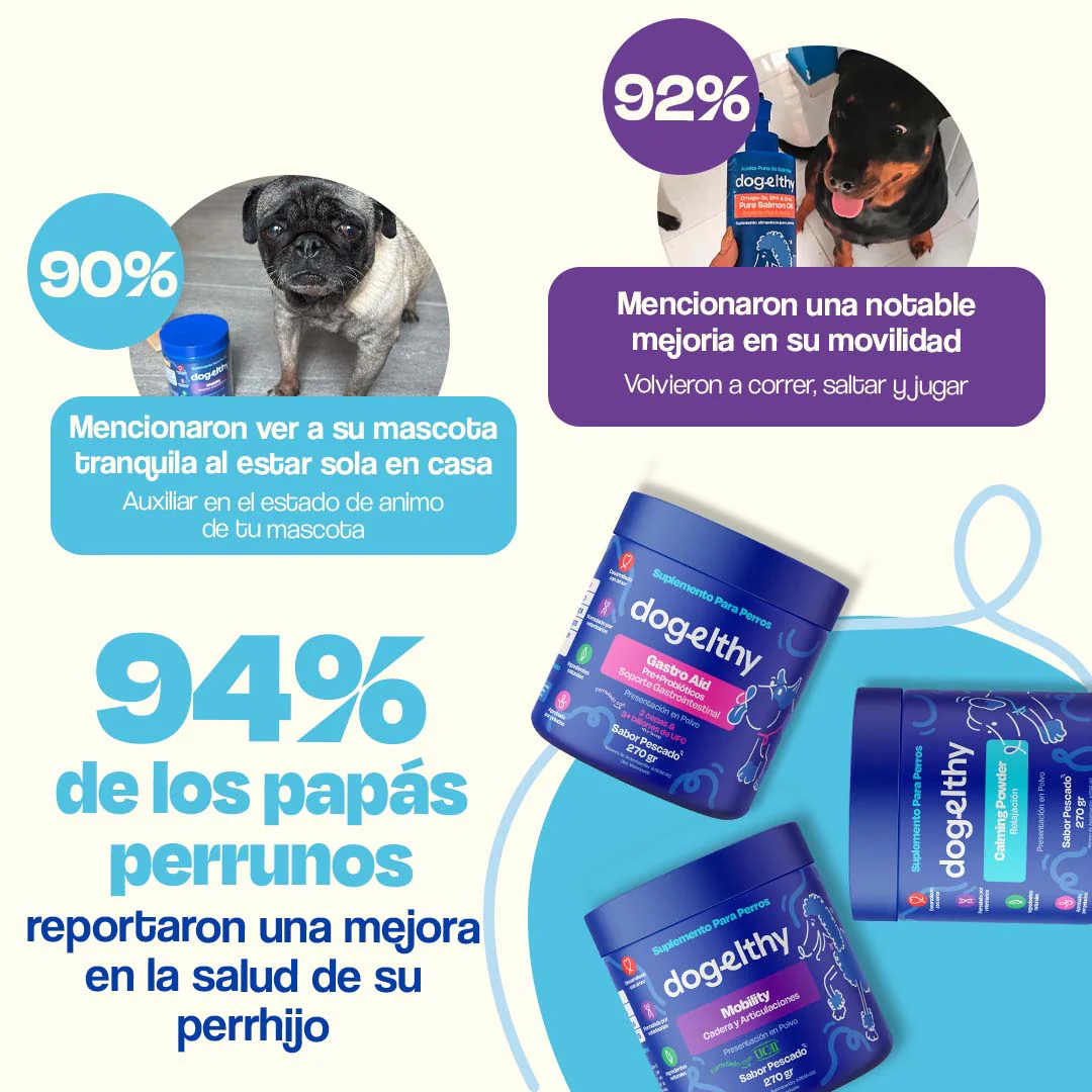 Kit Balance para Perro - Balance Kit - Image 6