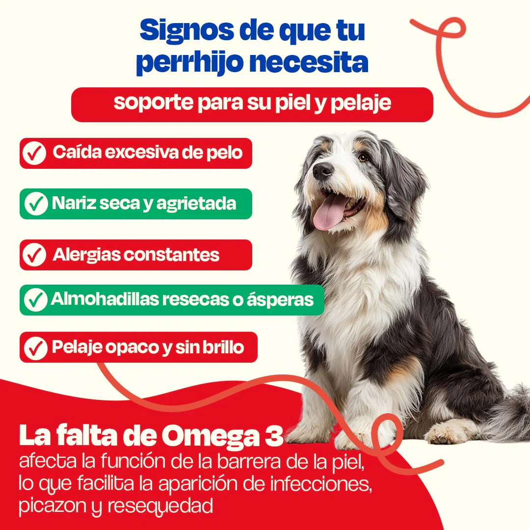 Kit de Omega 3 de Sardina para Perros - Sardine Skin Kit - Image 10