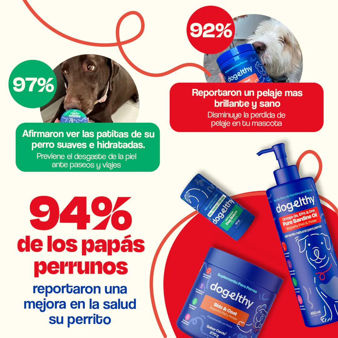 Kit de Omega 3 de Sardina para Perros - Sardine Skin Kit - Image 13