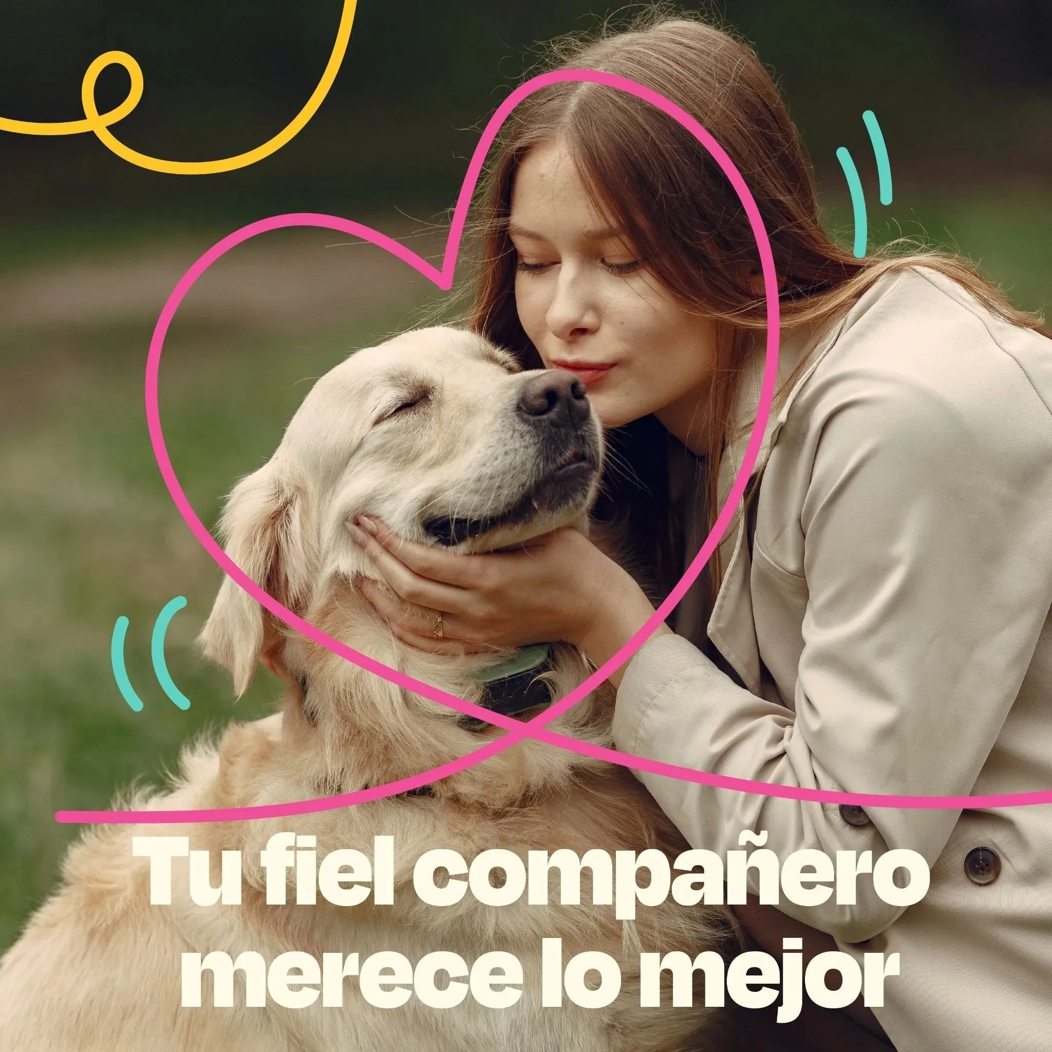 Kit de Omega 3 de Sardina para Perros - Sardine Skin Kit - Image 16