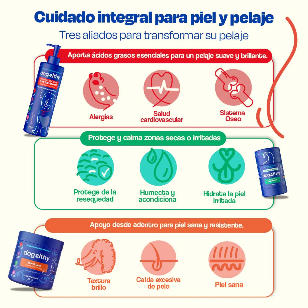 Kit de Omega 3 de Sardina para Perros - Sardine Skin Kit - Image 4