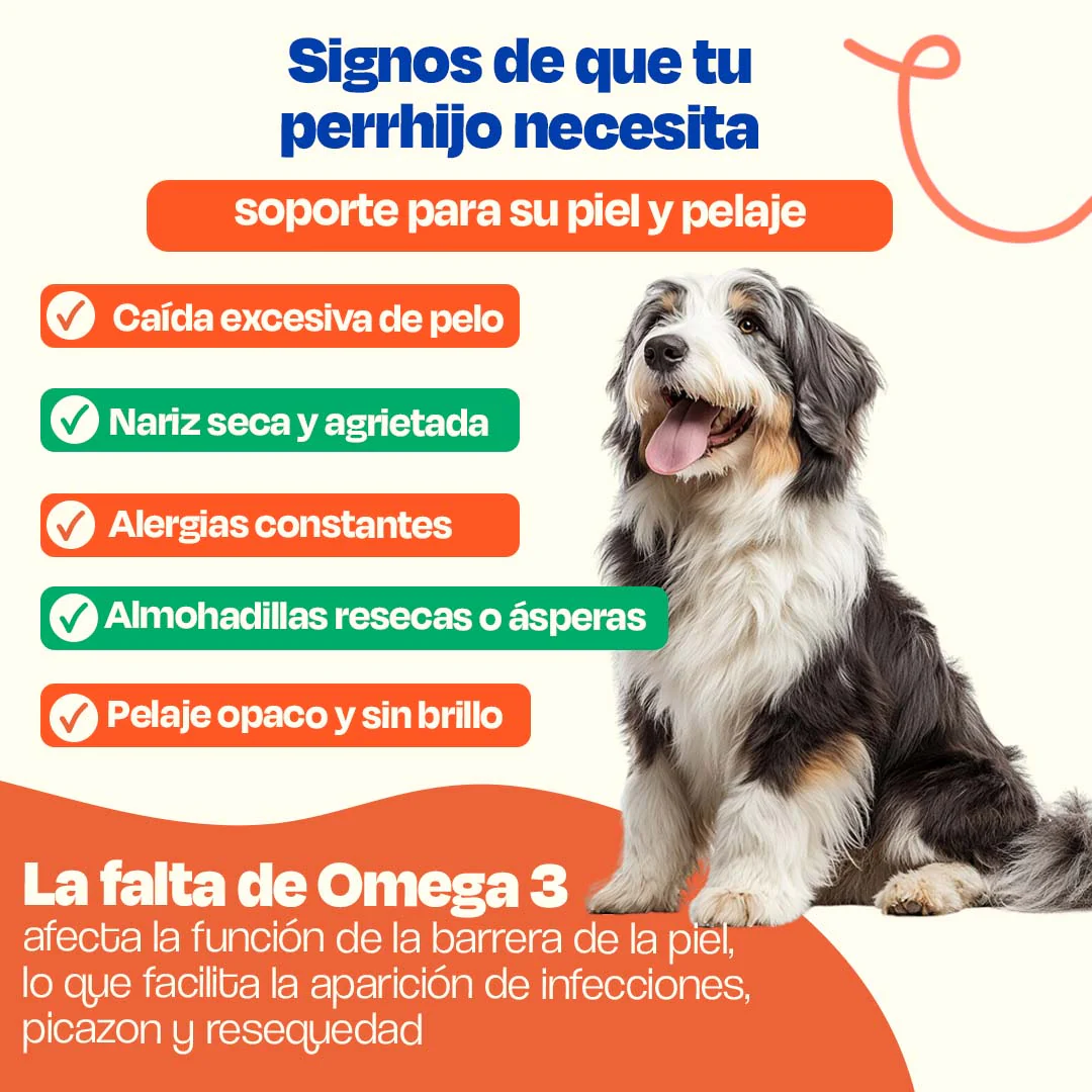 Kit de Omega 3 para Perros - Skin Kit - Image 3