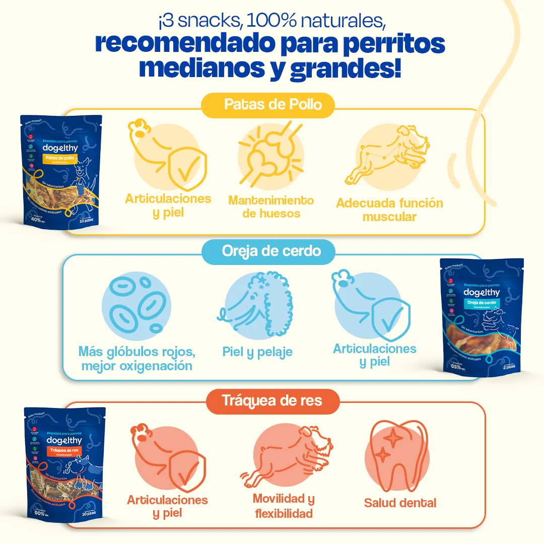Kit de 3 Premios Deshidratados para Perros de Razas Grandes - Image 3