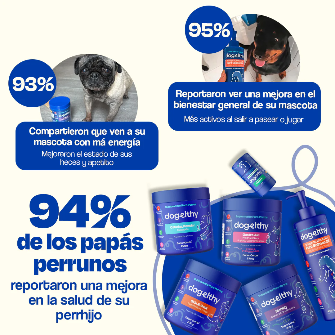 Kit del Perro Sano - Ultimate Wellness Kit - Image 15