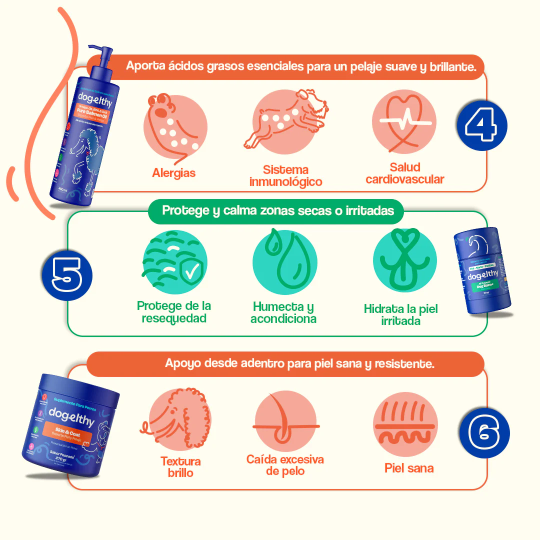 Kit del Perro Sano - Ultimate Wellness Kit - Image 5