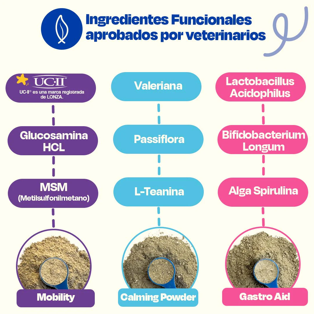 Kit del Perro Sano - Ultimate Wellness Kit - Image 7