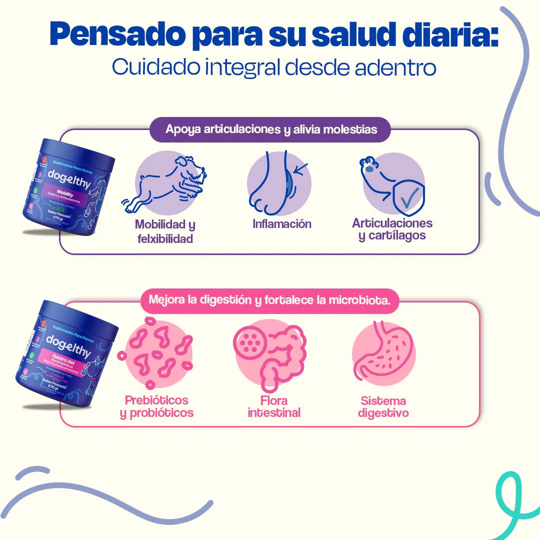 Kit de Gastro Aid + Mobility - Image 10
