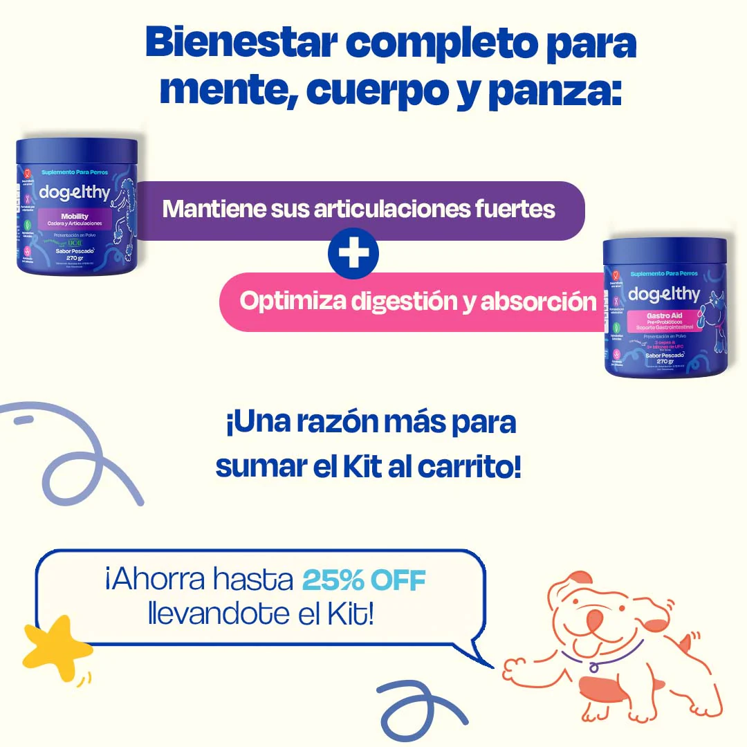 Kit de Gastro Aid + Mobility - Image 11