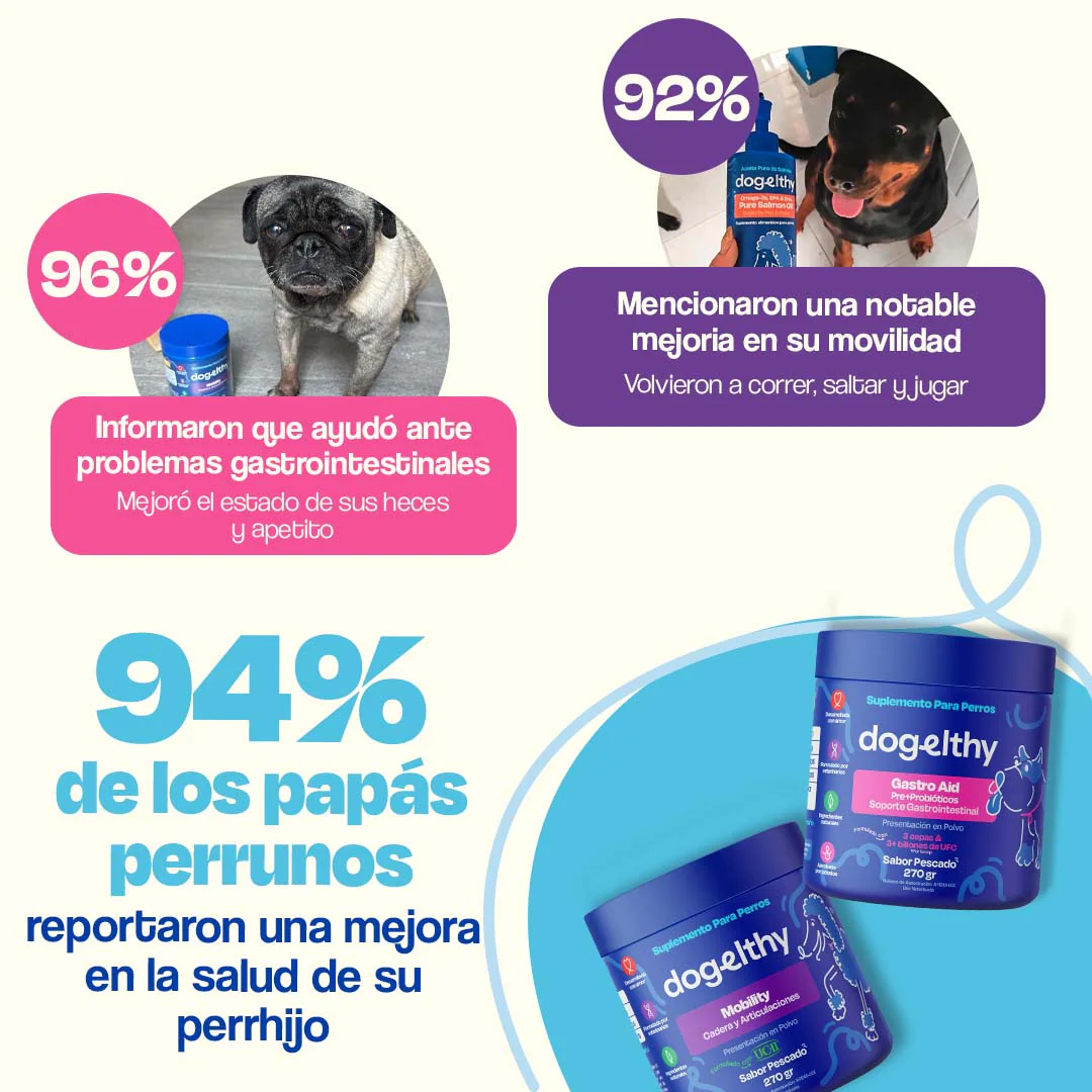 Kit de Gastro Aid + Mobility - Image 12
