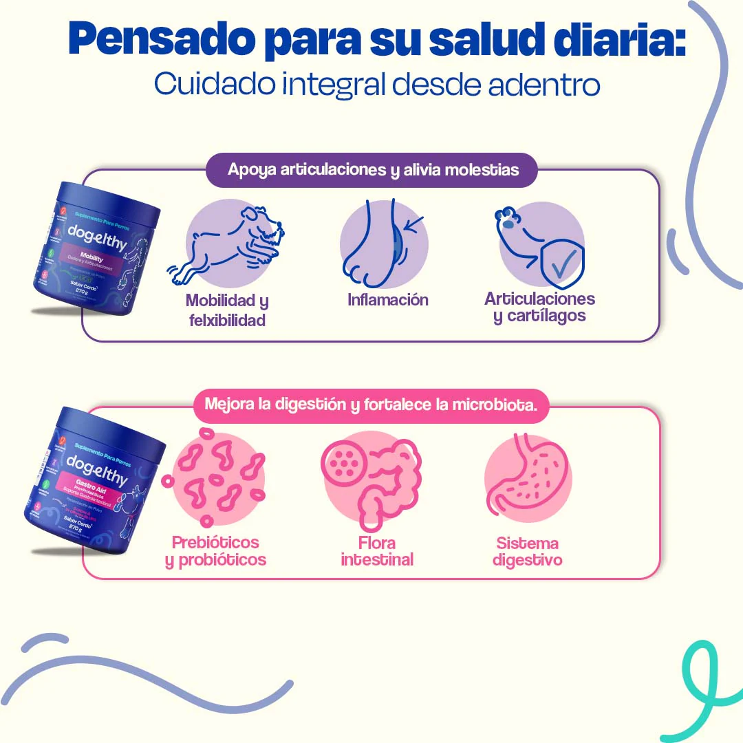 Kit de Gastro Aid + Mobility - Image 5