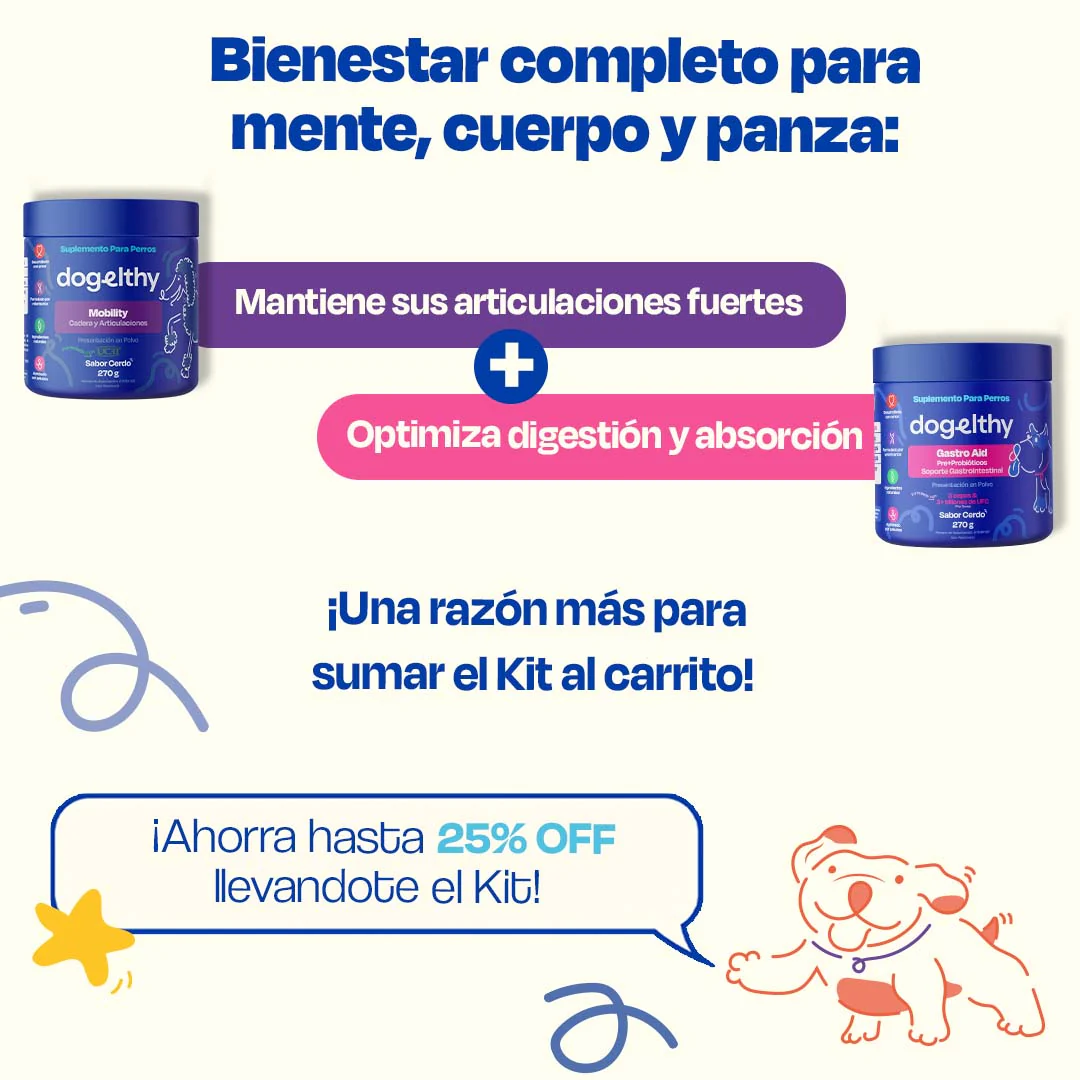Kit de Gastro Aid + Mobility - Image 6