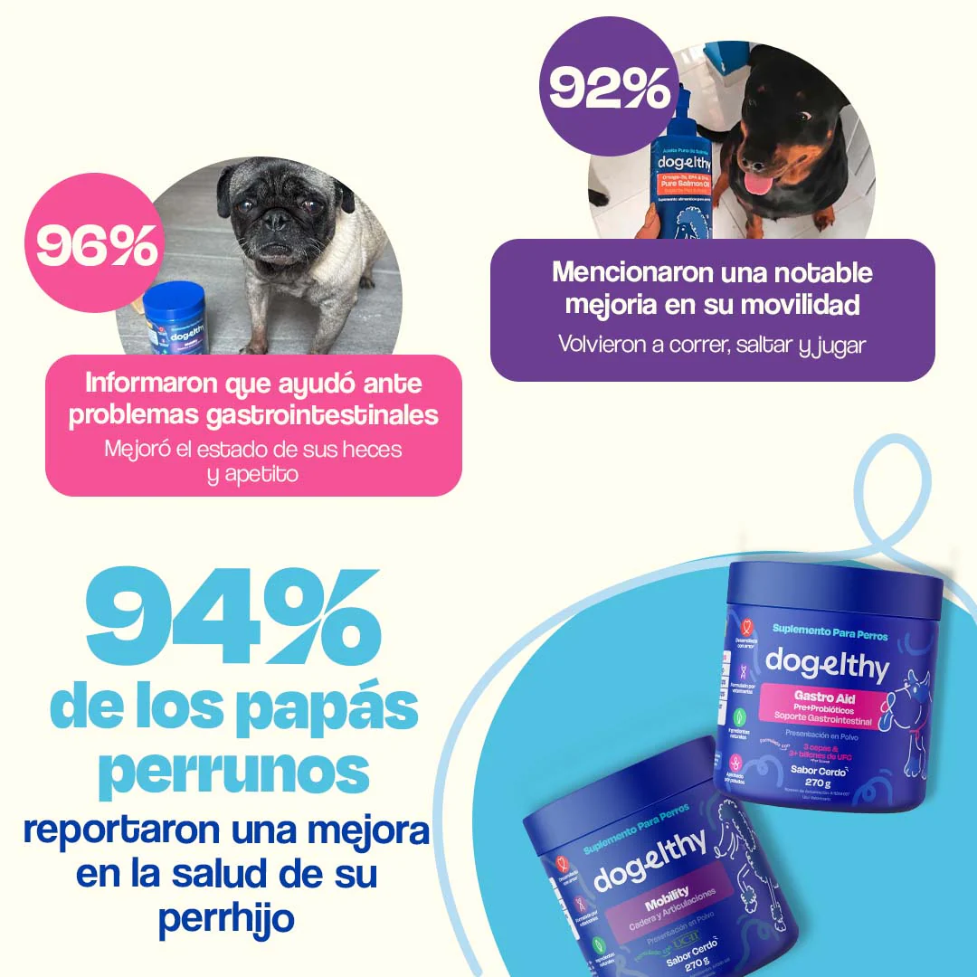 Kit de Gastro Aid + Mobility - Image 7