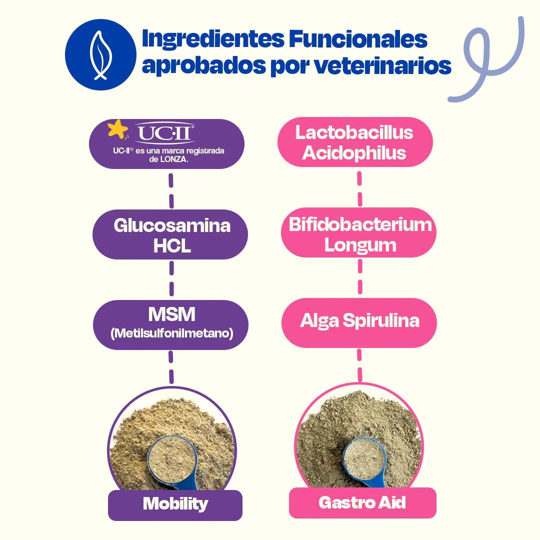 Kit de Gastro Aid + Mobility - Image 9