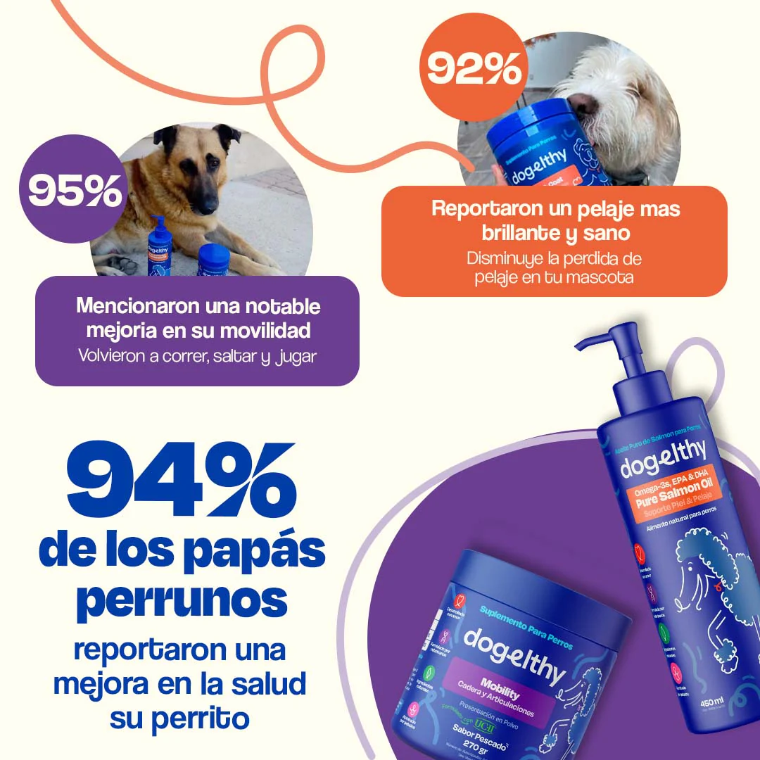 Kit de Mobility + Aceite de Salmón - Image 12