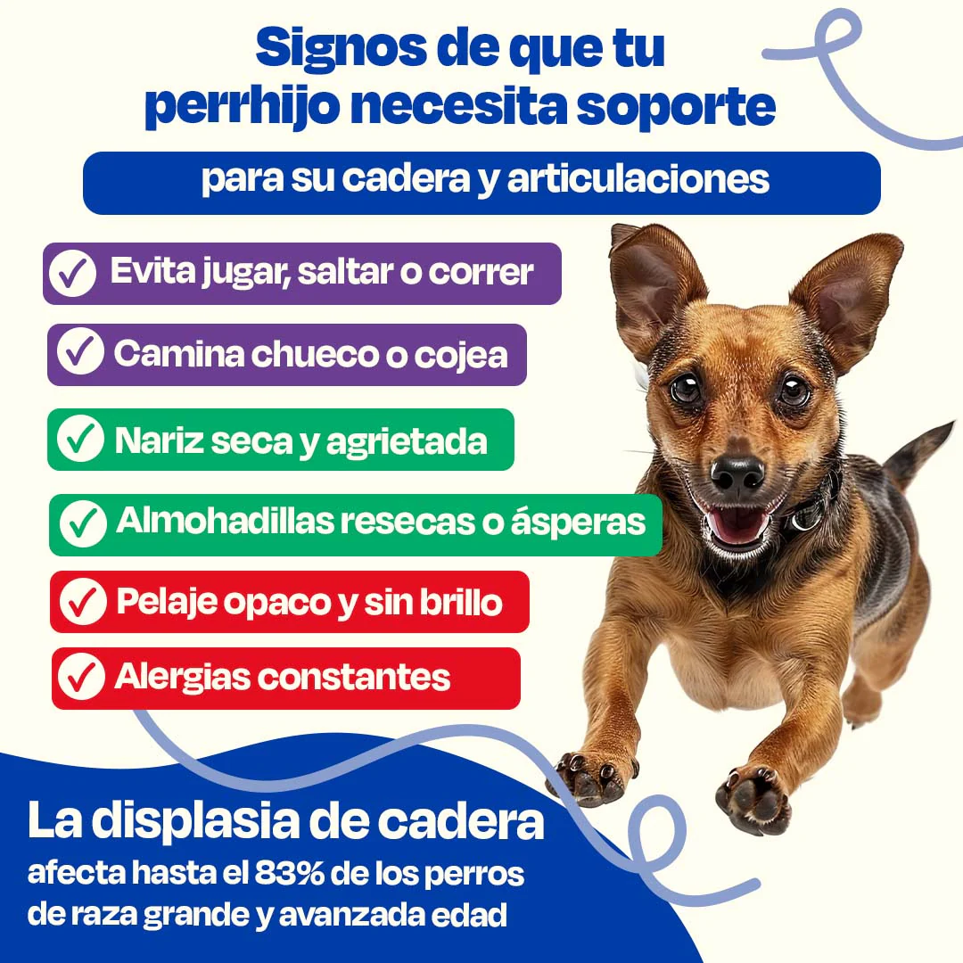 Kit para Articulaciones con Aceite de Sardina para Perros - Joint Support Kit - Image 10