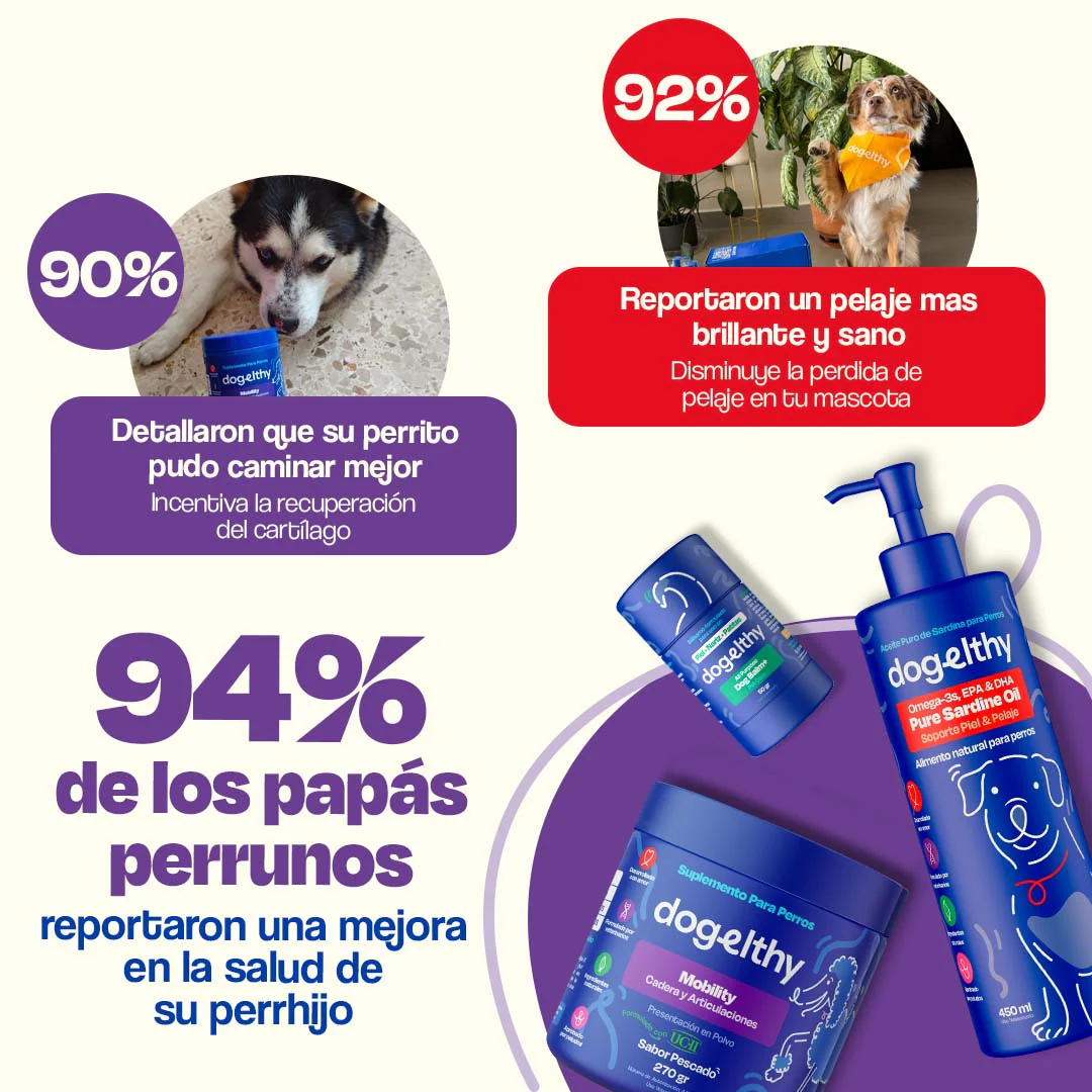 Kit para Articulaciones con Aceite de Sardina para Perros - Joint Support Kit - Image 6