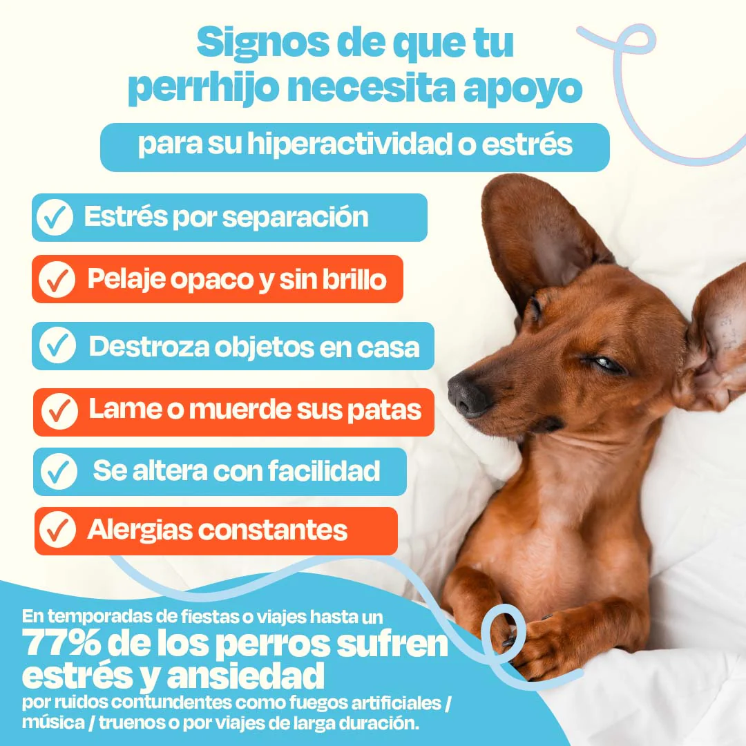 Kit Relajante para Perros - Serenity Kit - Image 10