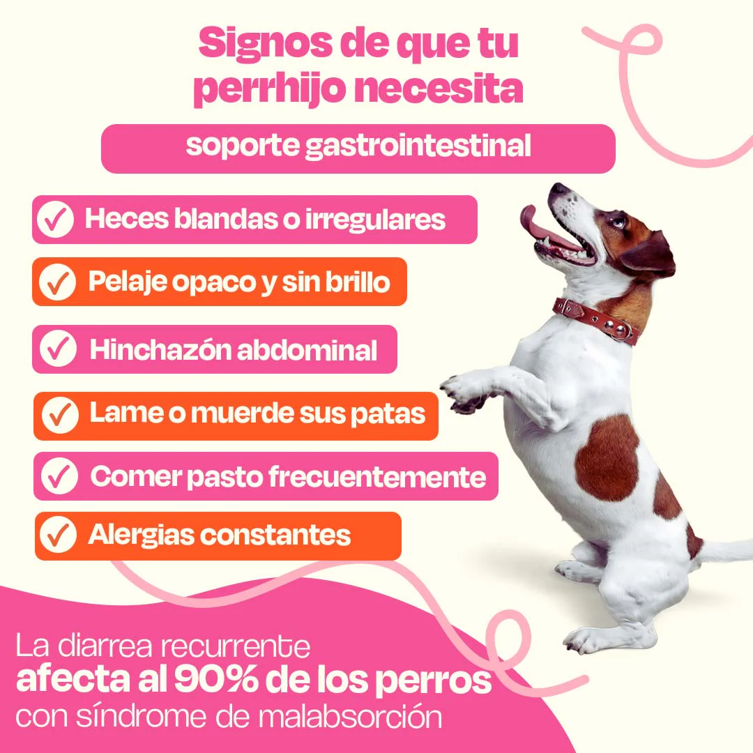 Kit Sistema Digestivo para Perros - Happy Belly Kit - Image 3