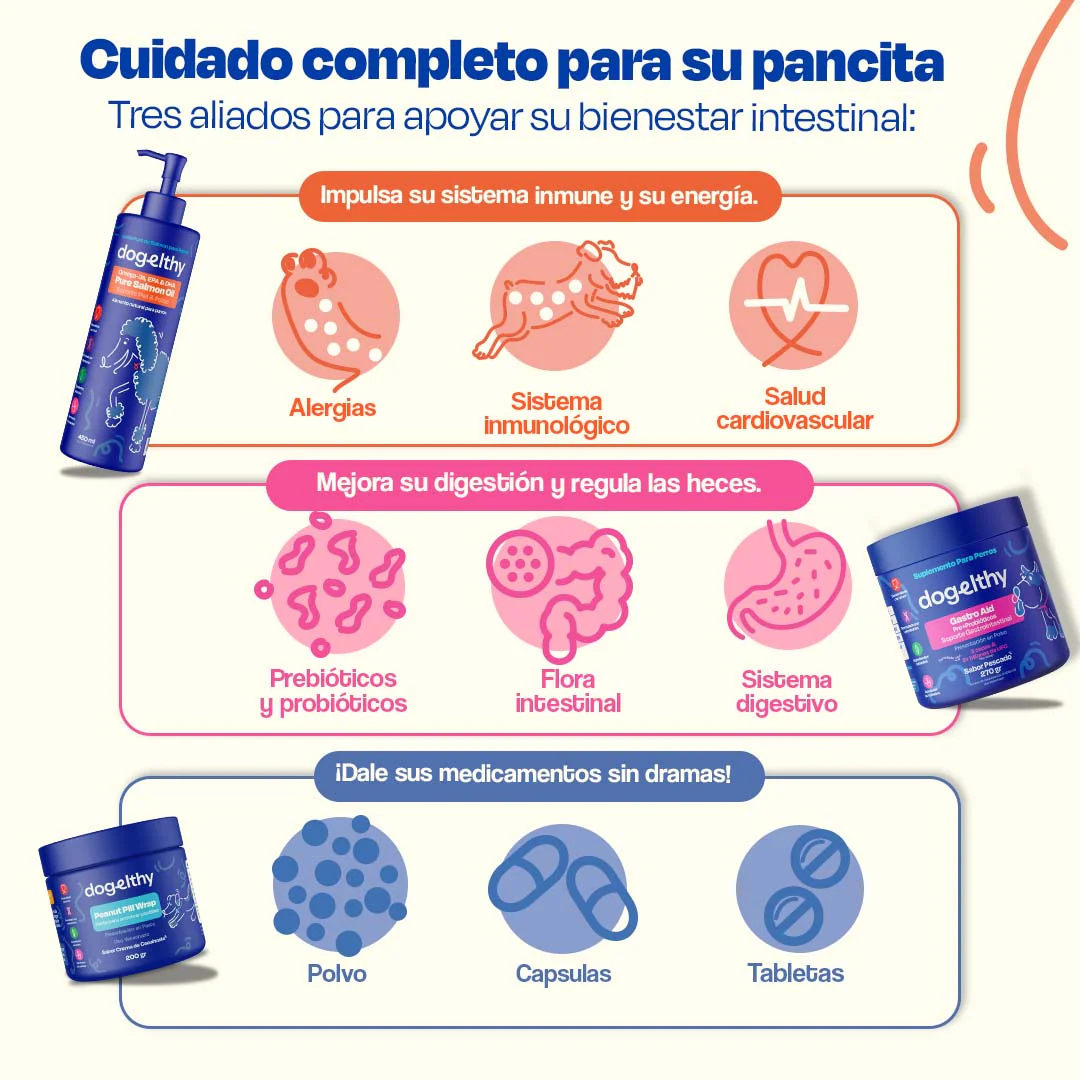 Kit Sistema Digestivo para Perros - Happy Belly Kit - Image 4
