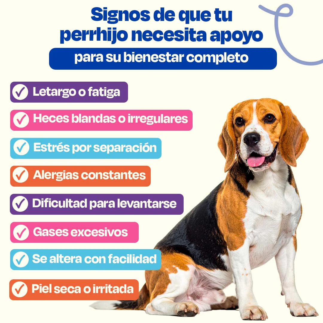 Kit Multivitaminico para Perro - Wellness Kit - Image 10