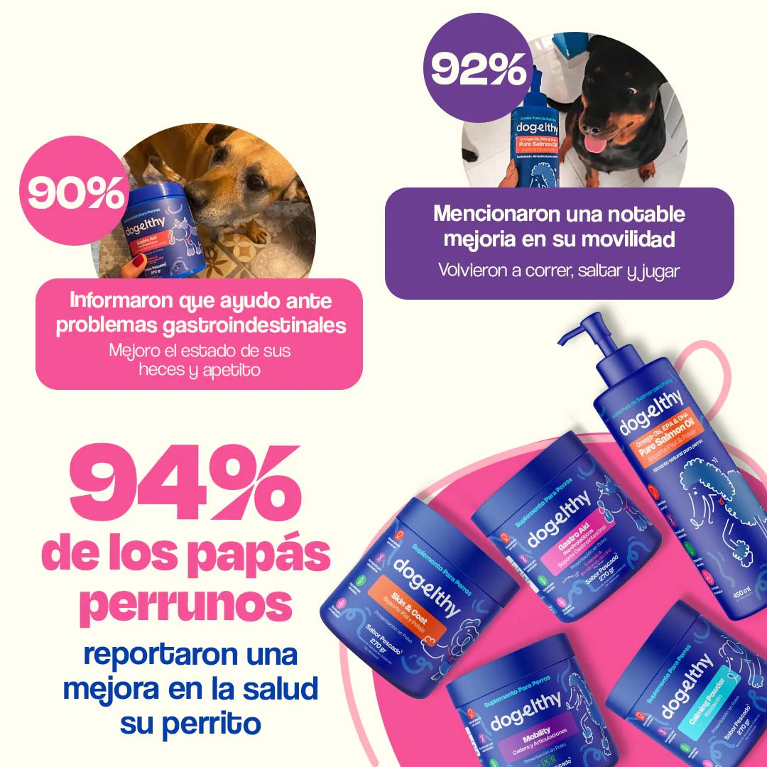 Kit Multivitaminico para Perro - Wellness Kit - Image 6