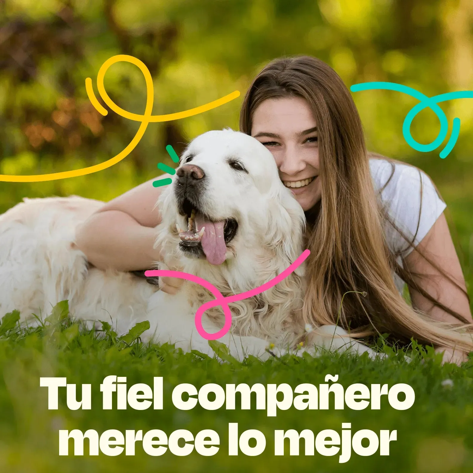 Multivitaminico para Perro - Multivitamin 20 en 1 - Image 10