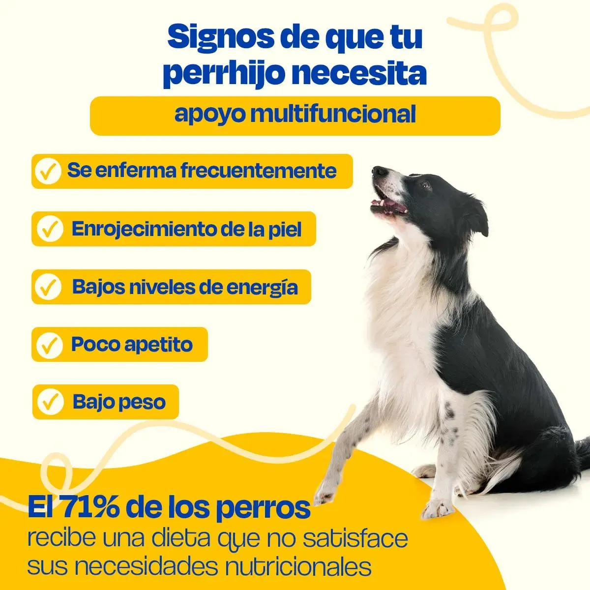 Multivitaminico para Perro - Multivitamin 20 en 1 - Image 3
