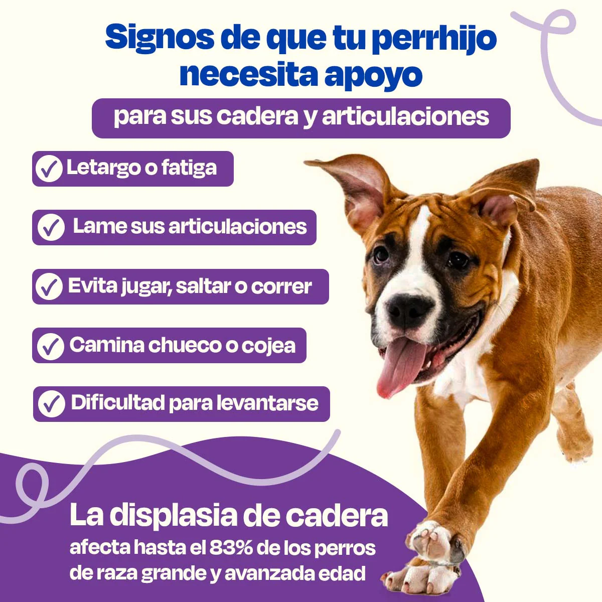 Suplemento para Articulaciones de Perros - Mobility - Image 11
