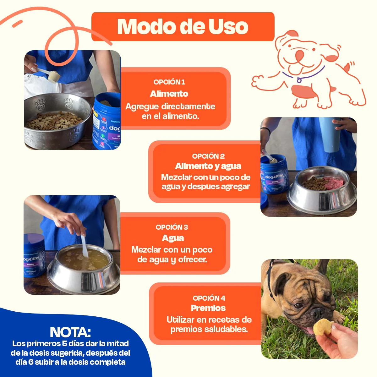Suplemento para Pelaje y Piel de Perro - Skin and Coat - Image 17